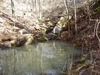 Fossils & mt walk 009.webp