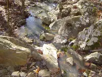Fossils & mt walk 007.webp