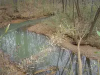 Along The River & Through The Woods 001.webp