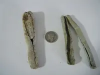 DSCF4875.webp
