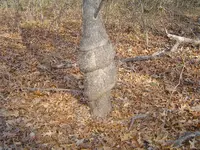 Along The River & Through The Woods 013.webp