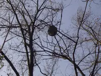 Along The River & Through The Woods 012.webp