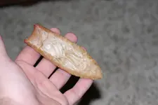 resized clovis.webp