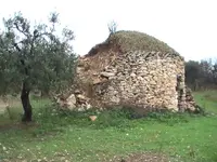 08-02-2010 018.webp