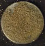 coins295.webp