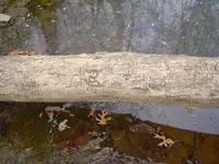 Along The River & Through The Woods 002.webp