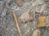 Fossils 008.webp