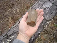 Fossils 004.webp