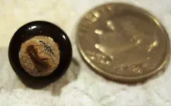 Button alley 012.webp