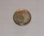 Button bak view on a dime.webp