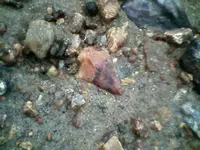 !cid__0207101442.webp