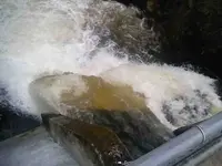 0128101057-01.webp