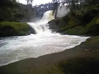 0128101100-01.webp