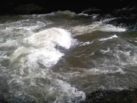 0128101102-00.webp