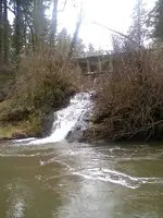 0128101104-00.webp