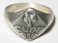 bsa.webp
