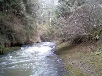 0128101105-00.webp