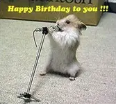 Happy%20Birthday%20to%20You%20!!!.webp