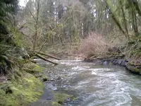 0128101105-01.webp