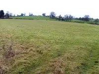 Ridge-and-Furrow.webp
