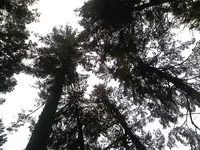 0128101125-00.webp
