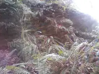 0128101127-01.webp