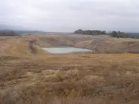 Fossil hunt yesterday 001.webp