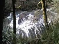 0128101131-00.webp
