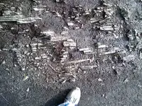 0128101132-00.webp