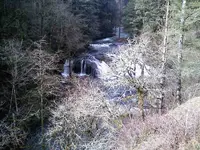 0128101133-00.webp