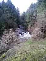 0128101133-01.webp