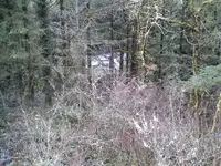 0128101135-00.webp