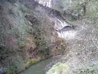 0128101138-01.webp