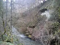 0128101138-02.webp
