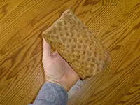 Fossil hunt yesterday 007.webp