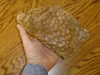 Fossil hunt yesterday 008.webp