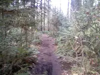 0128101152-00.webp