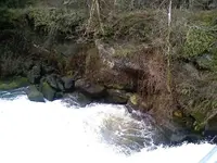 0128101156-00.webp