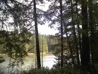 0128101202-00.webp