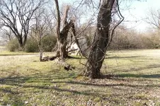 RES01233.webp