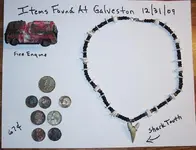 Finds at Galveston 12-31-09 002.webp