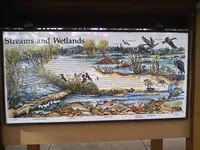 0128101204-03.webp