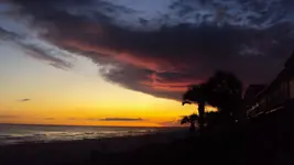 Trip tp Karrie & Nikkis 277.webp