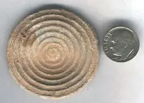 lead disc.webp