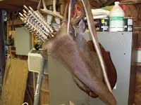 Arrows and quiver 09 010 (Small).webp
