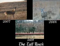 TallBuckCollage.webp
