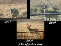 YardTardCollage.webp