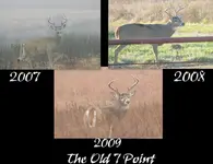 Old7PointCollage.webp