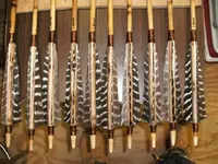 Arrows and quiver 09 007 (Small).webp