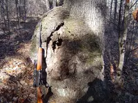 Deer Hunting (sort of) 001.webp